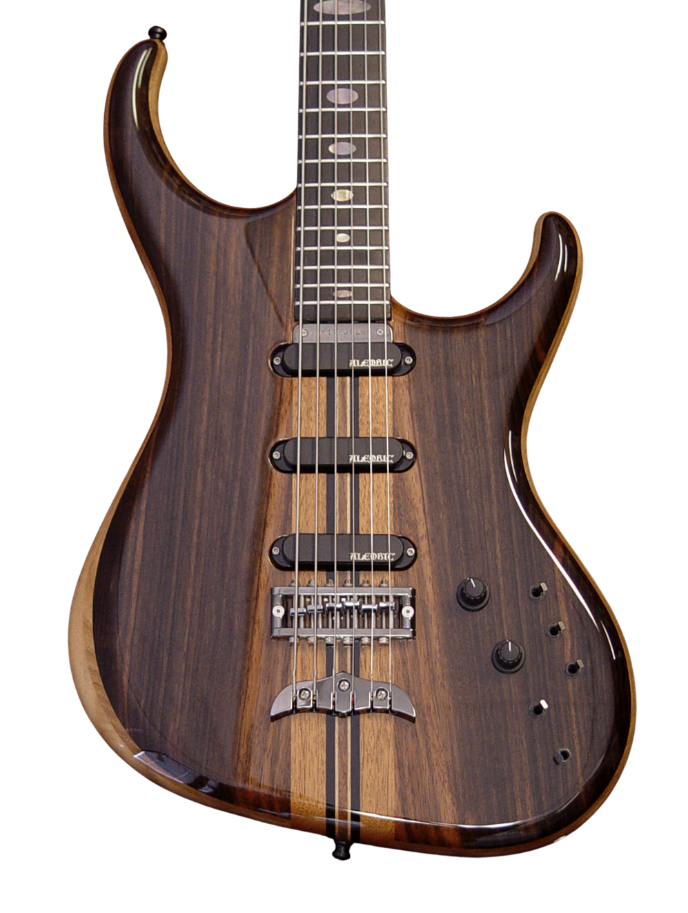Spectrum guitar in Macassar Ebony