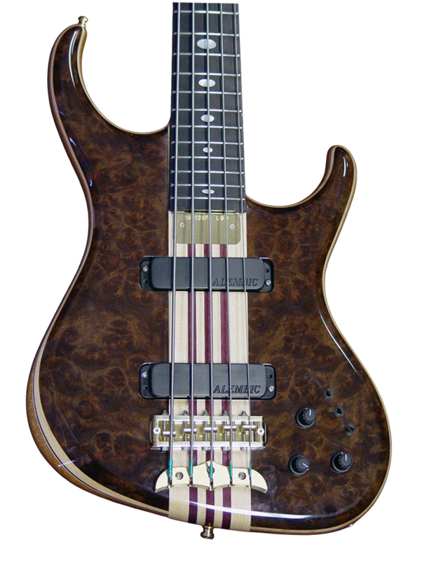Europa bass in Burl Walnut