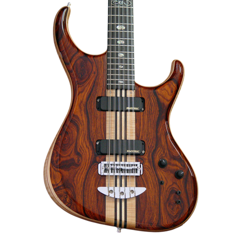12-string Leo