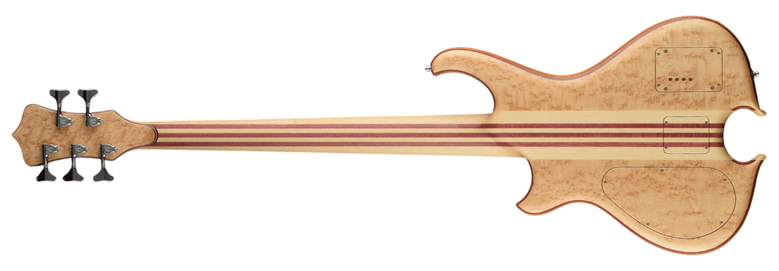 Back view of Series I 5-string bass in Bird's-eye Maple