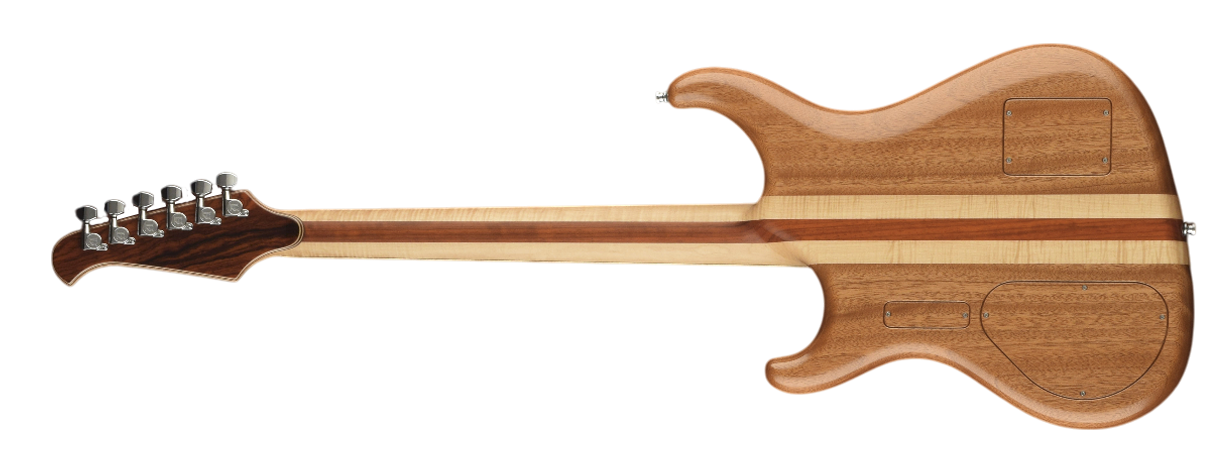 Spectrum guitar back