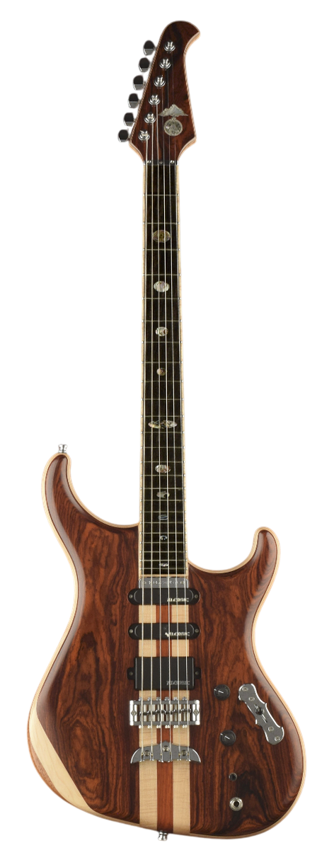 Spectrum guitar back