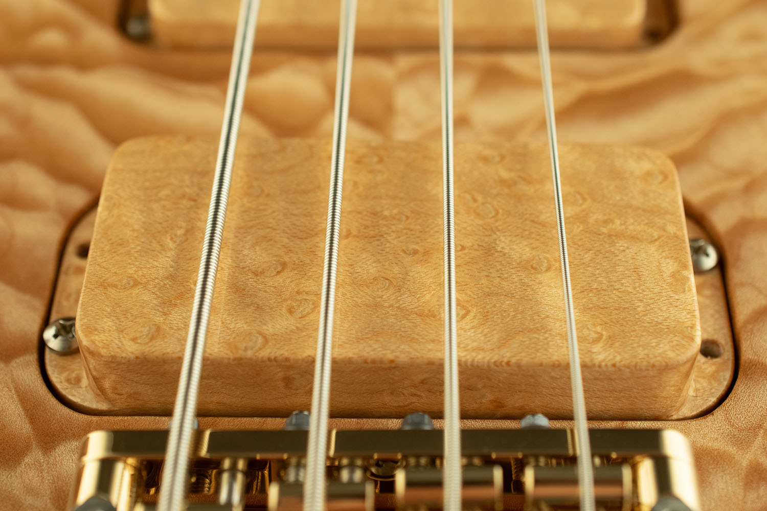 Molly Mae Bird's-eye Maple pickup