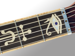 Full Fingerboard Inlays