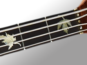 Full Fingerboard Inlays