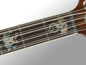 Full Fingerboard Inlays