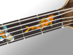 Full Fingerboard Inlays