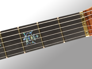 Full Fingerboard Inlays