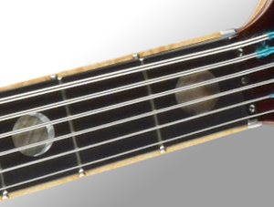 Full Fingerboard Inlays