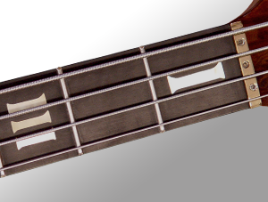 Full Fingerboard Inlays