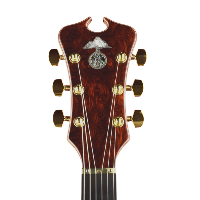Omega with bevel shape guitar headstock
