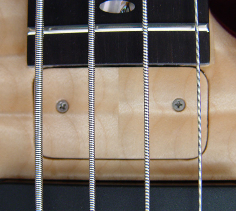 Continuous truss rod cover