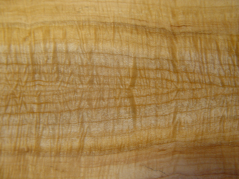 back detail