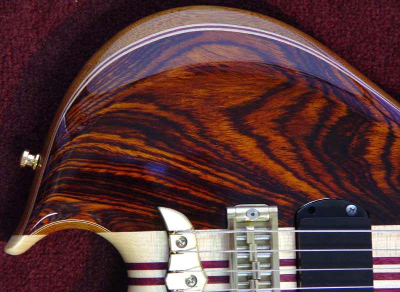 Coco Bolo
