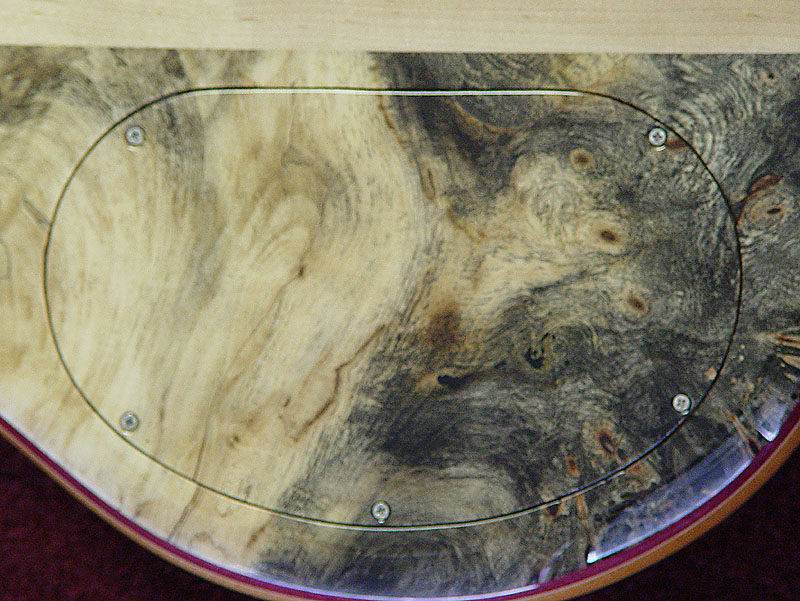 Backplate