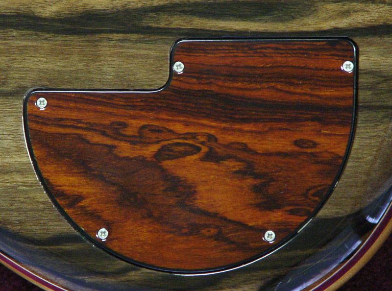 Coco Bolo Backplate