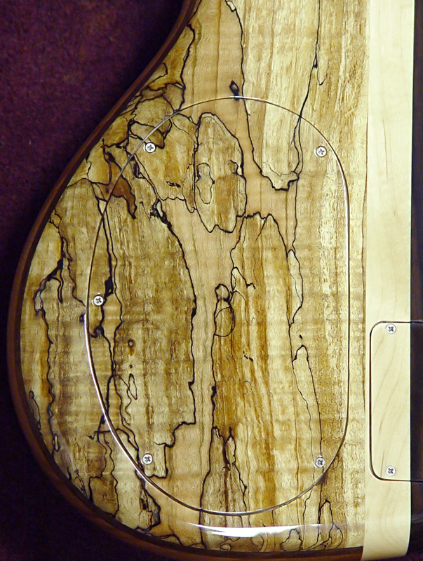 CW Backplate